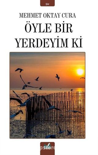 Öyle Bir Yerdeyim Ki