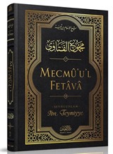 Mecmûu'l-Fetava (13. Cilt)