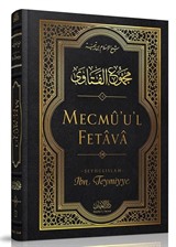 Mecmûu'l-Fetava (14. Cilt)