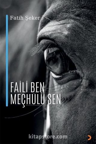 Faili Ben Meçhulü Sen