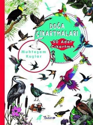 Muhteşem Kuşlar Doğa Çıkartmaları