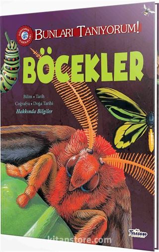 Böcekler / Bunları Tanıyorum