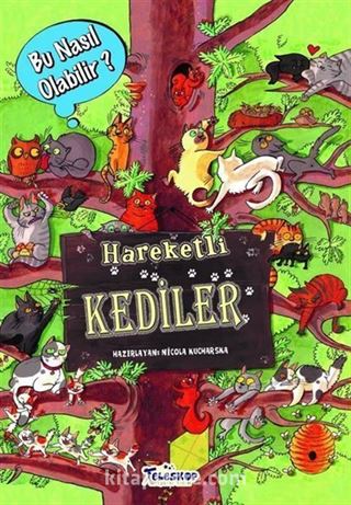 Hareketli Kediler / Bu Nasıl Olabilir?