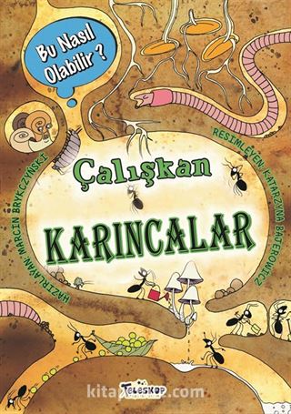 Çalışkan Karıncalar / Bu Nasıl Olabilir?