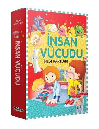 İnsan Vücudu Bilgi Kartları