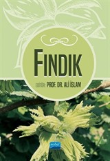 Fındık