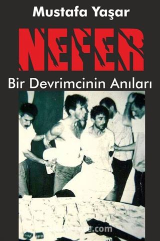 Nefer