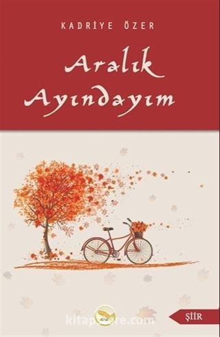 Aralık Ayındayım