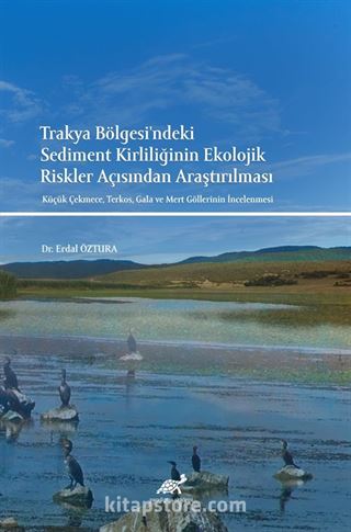 Trakya Bölgesi'ndeki Sediment Kirliliğinin Ekolojik Riskler Açısından Araştırılması Küçük Çekmece, Terkos, Gala ve Mert Göllerinin İncelenmesi