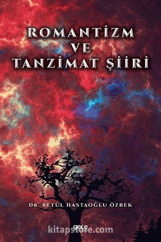 Romantizm ve Tanzimat Şiiri