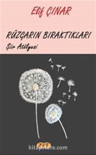 Rüzgarın Bıraktıkları