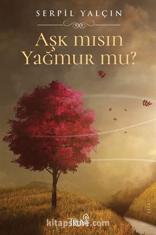 Aşk mısın Yağmur mu?