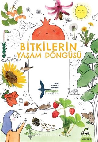 Bitkilerin Yaşam Döngüsü