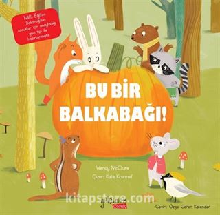 Bu Bir Balkabağı !