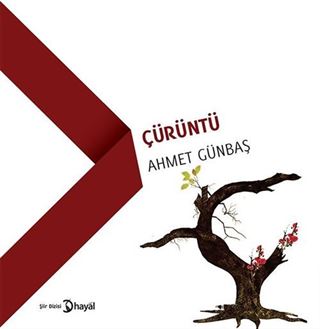 Çürüntü