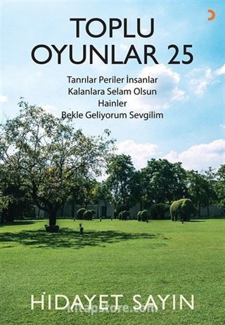 Toplu Oyunlar 25