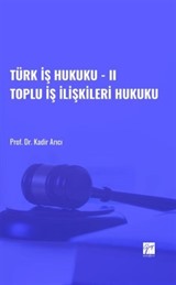 Türk İş Hukuku II / Toplu İş İlişkileri Hukuku