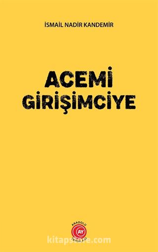 Acemi Girişimciye