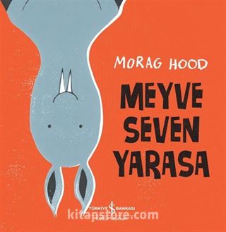 Meyve Seven Yarasa