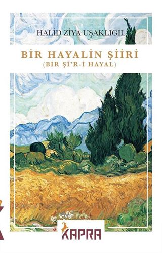 Bir Hayalin Şiiri