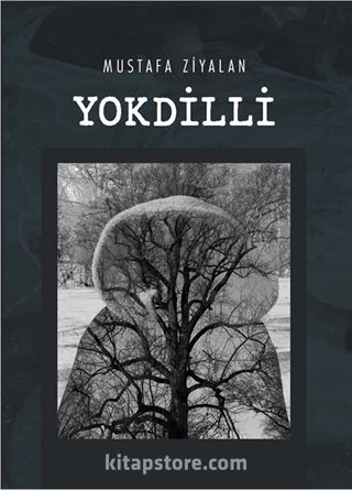 Yokdilli