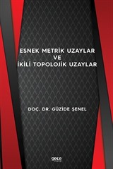 Esnek Metrik Uzaylar ve İkili Topolojik Uzaylar