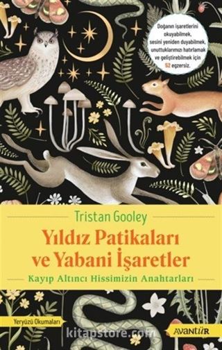 Yıldız Patikaları ve Yabani İşaretler