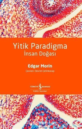 Yitik Paradigma