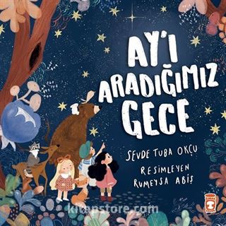 Ay'ı Aradığımız Gece