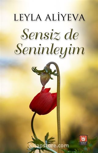 Sensiz de Seninleyim