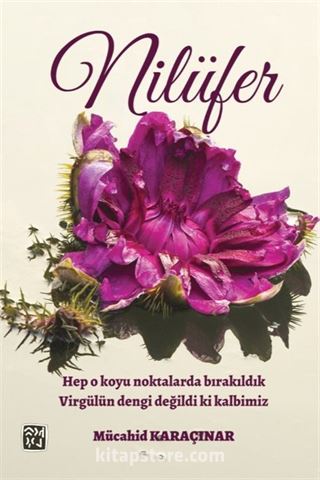 Nilüfer