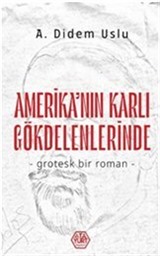 Amerika'nın Karlı Gökdelenlerinde