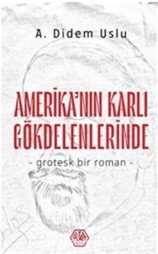 Amerika'nın Karlı Gökdelenlerinde