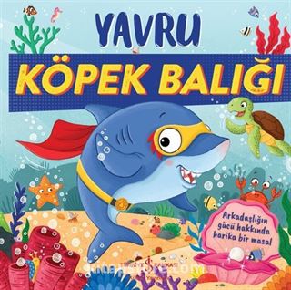 Yavru Köpek Balığı