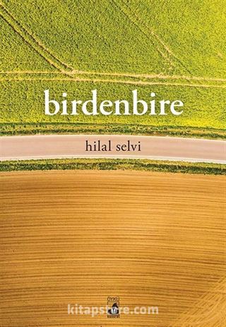 Birdenbire