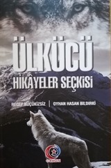 Ülkücü Hikayeler Seçkisi