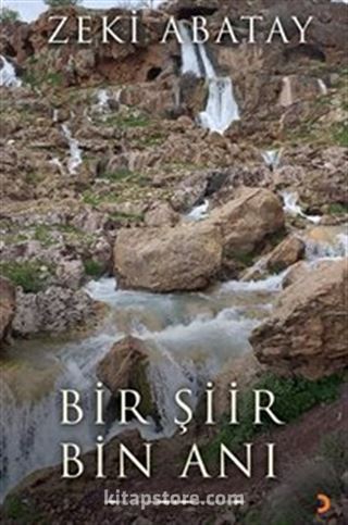 Bir Şiir Bin Anı