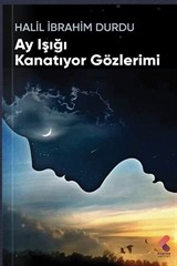 Ay Işığı Kanatıyor Gözlerimi