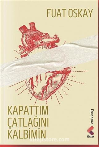 Kapattım Çatlağını Kalbimin