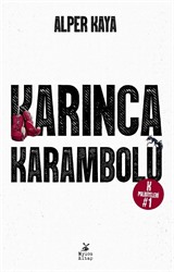 Karınca Karambolü