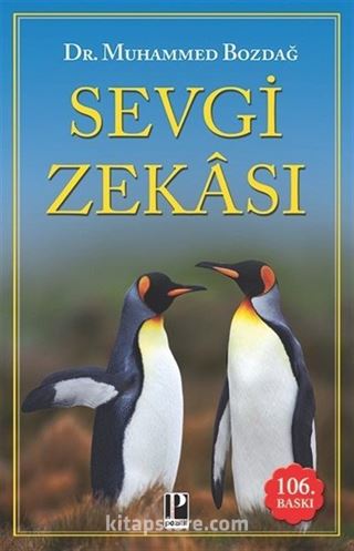 Sevgi Zekası