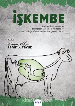 İşkembe