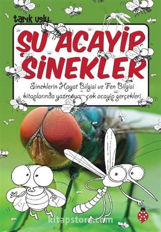 Şu Acayip Sinekler