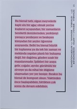 17. İstanbul Bienali Artçı Düşünceler (Katalog)