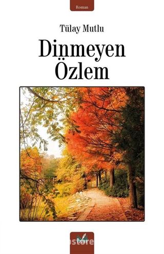 Dinmeyen Özlem