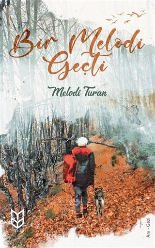 Bir Melodi Geçti