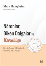 Nöronlar, Diken Dalgalar ve Kurabiye