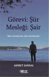 Görevi Şiir Mesleği Şair