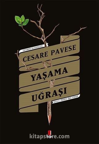 Yaşama Uğraşı