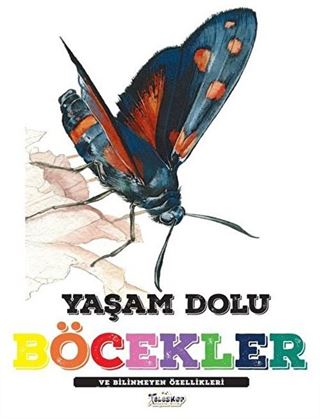 Yaşam Dolu Böcekler ve Bilinmeyen Özellikleri